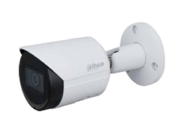 DH-IPC-HFW2431S