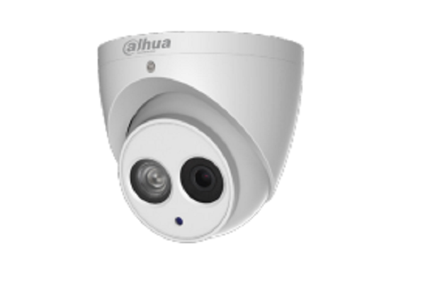 DH-IPC-HDW4631EMP-A