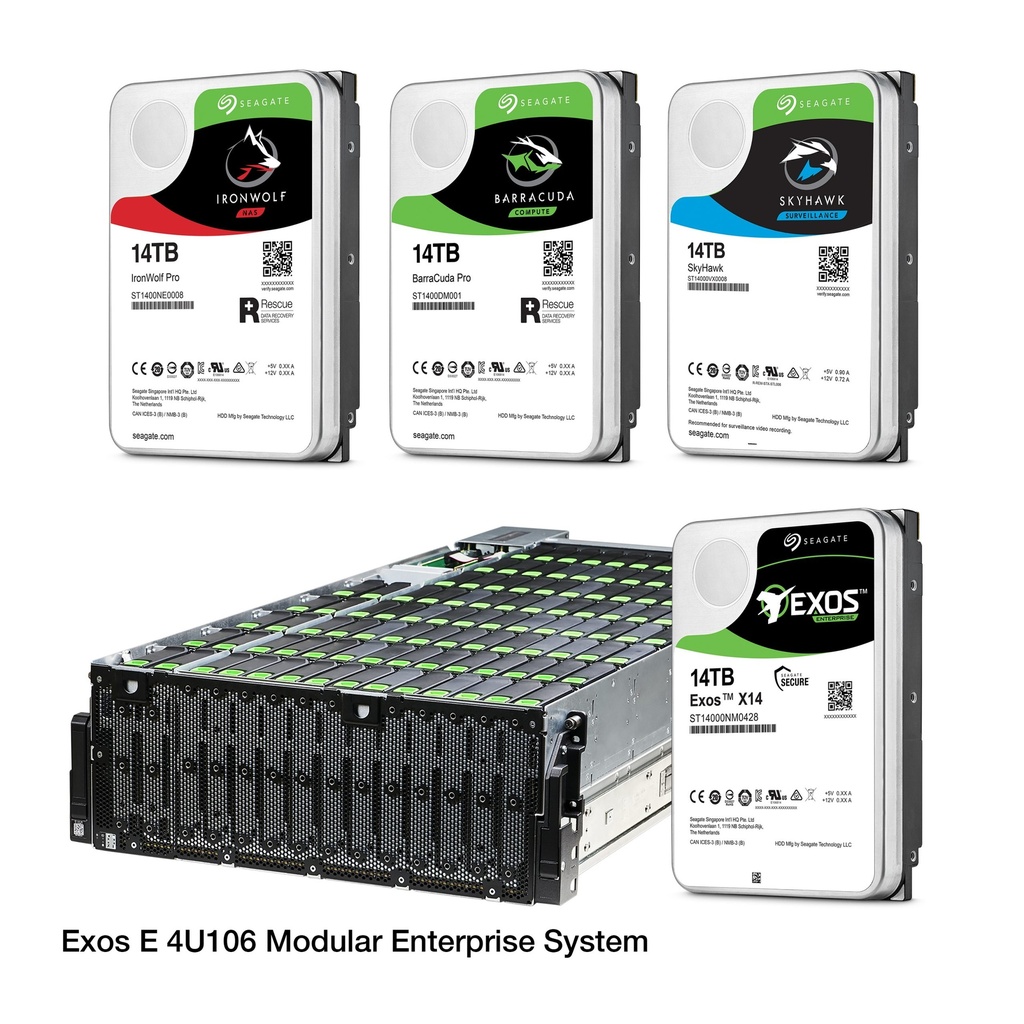 Hard Disk (Ironwolf, 1TB)