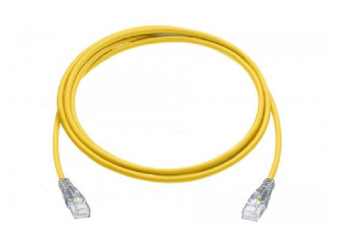 [DP10221] NCB-C6UYELR1-1 