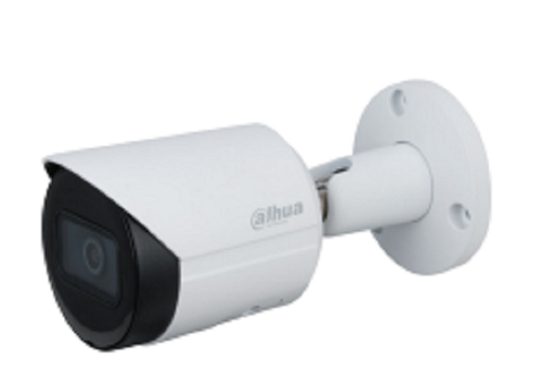 [DAH0311] DH-IPC-HFW2531SP-S-S2